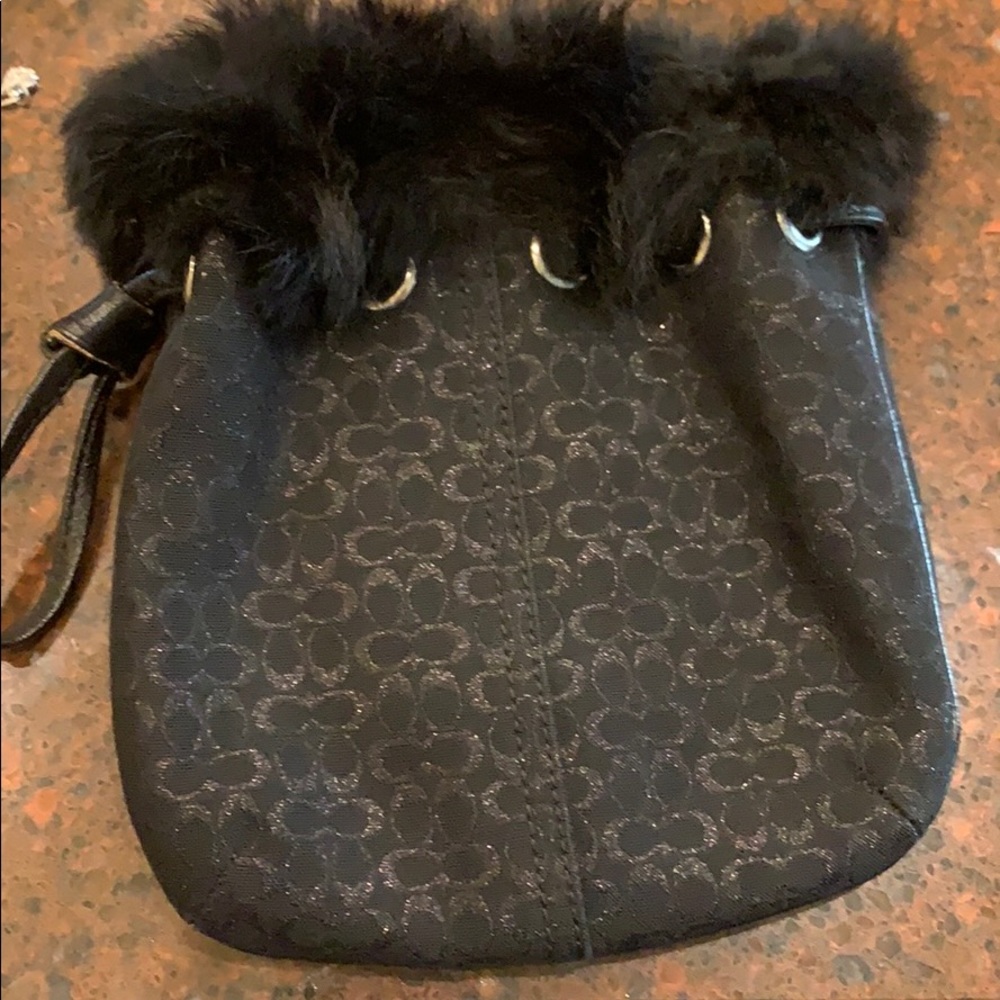 Coach pouch